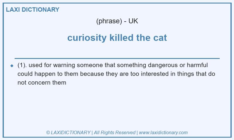 Definition curiosity killed the cat in British English