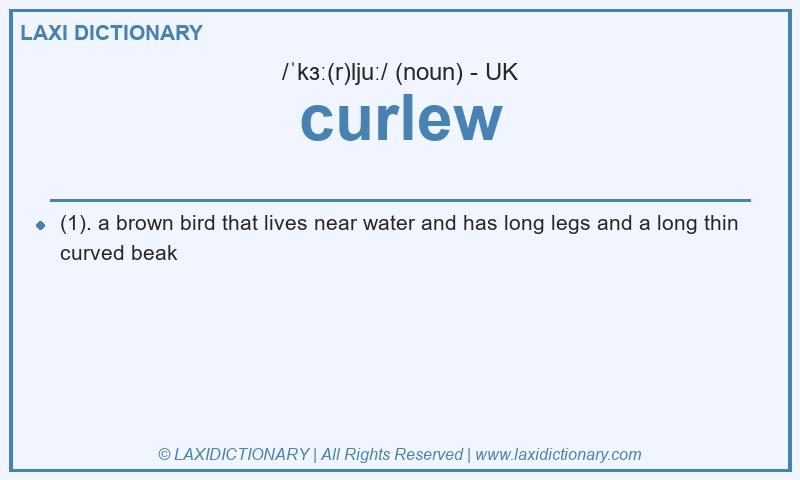 Definition curlew in British English