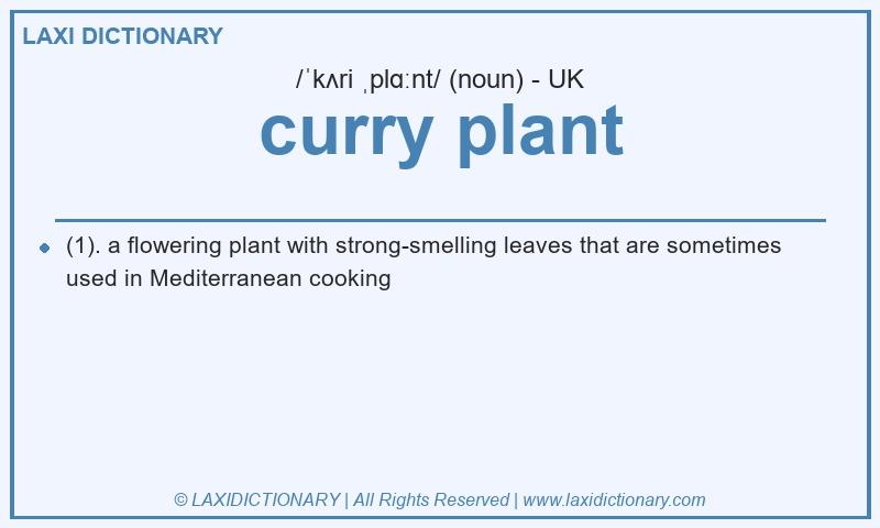 Definition curry plant in British English