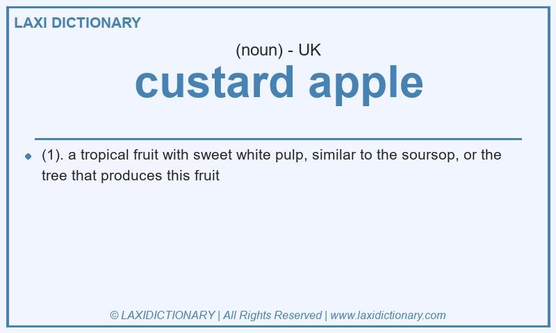 Definition custard apple in British English