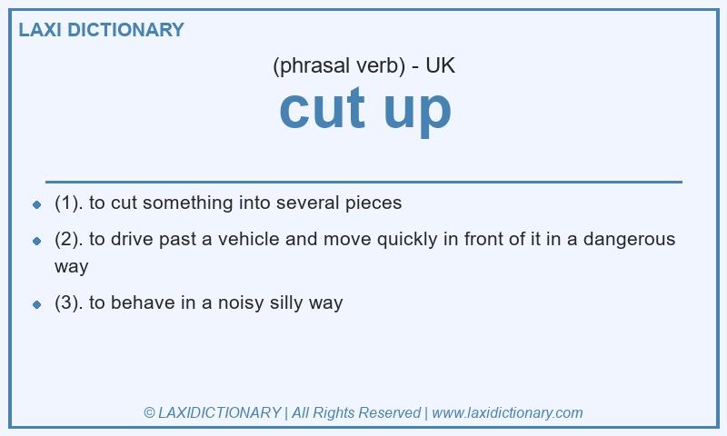 Definition cut up in British English