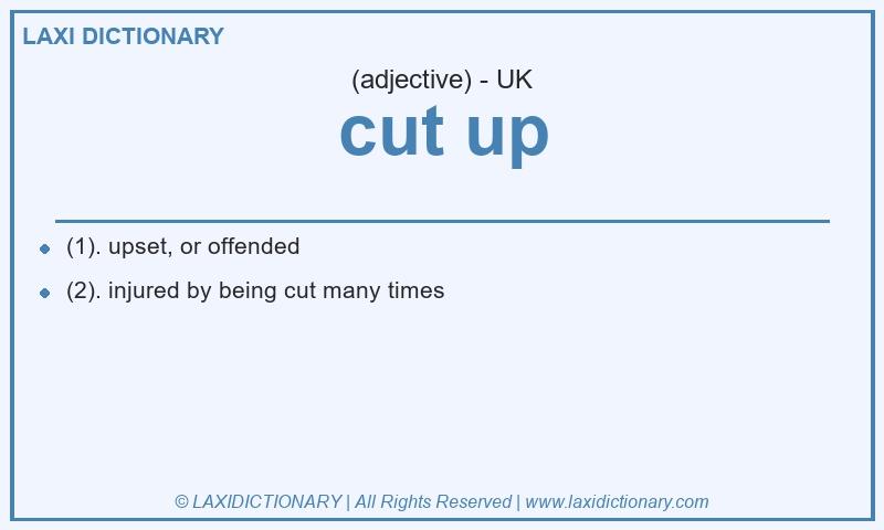 Definition cut up in British English