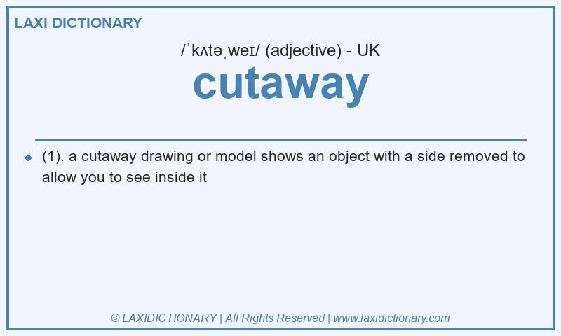 Definition cutaway in British English