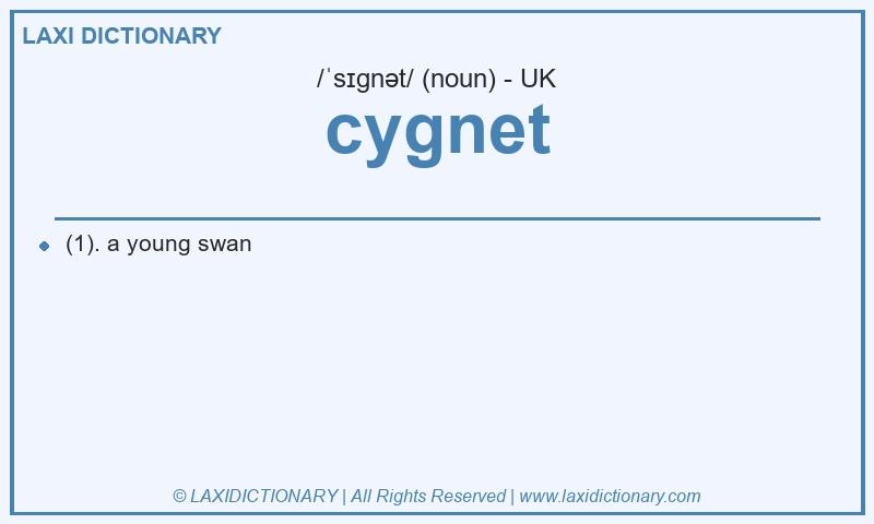 Definition cygnet in British English