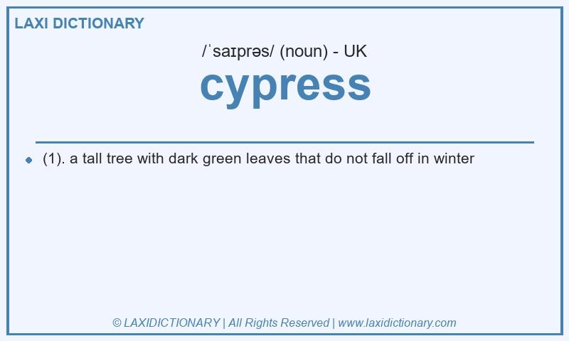 Definition cypress in British English
