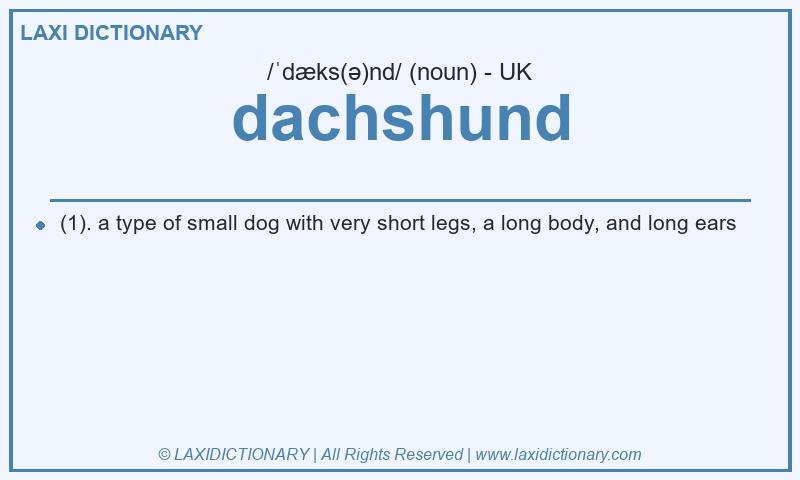 Definition dachshund in British English