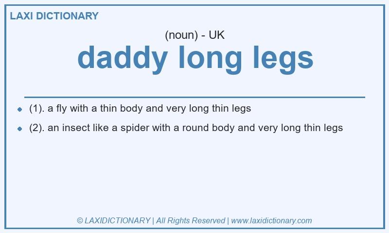 Definition daddy long legs in British English