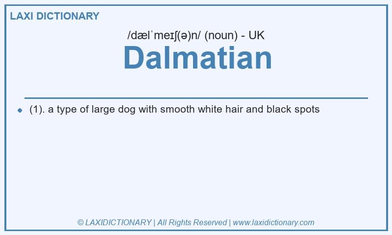 Definition Dalmatian in British English