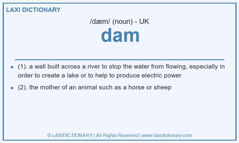 Definition dam in British English