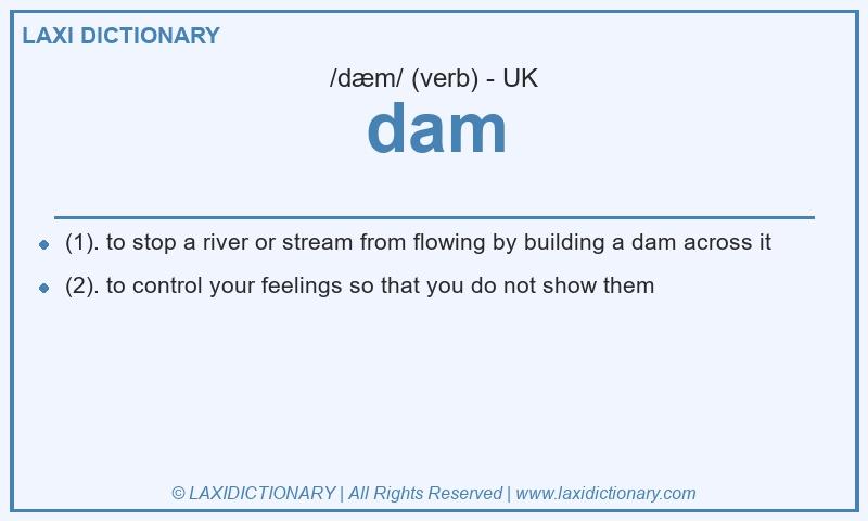 Definition dam in British English