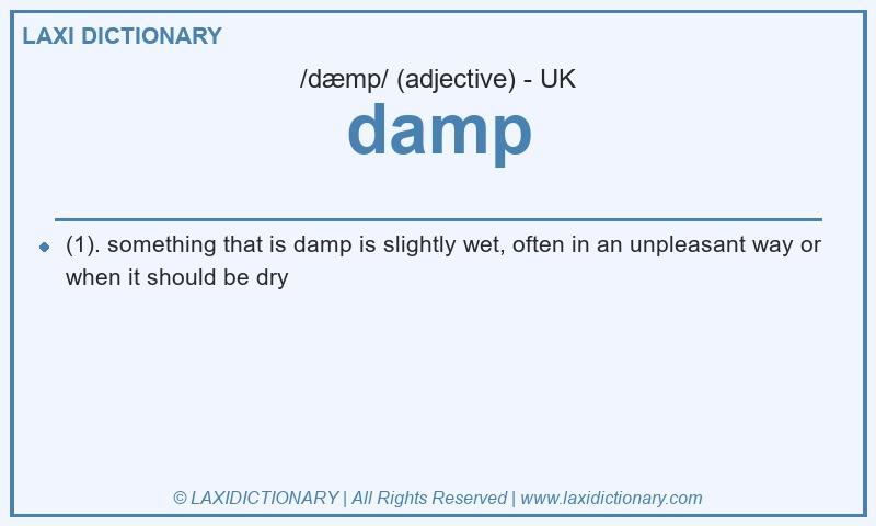 Definition damp in British English