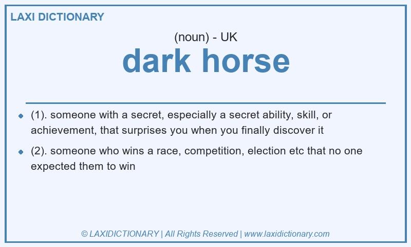 Definition dark horse in British English