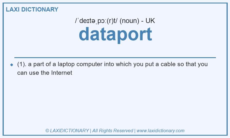 Definition dataport in British English
