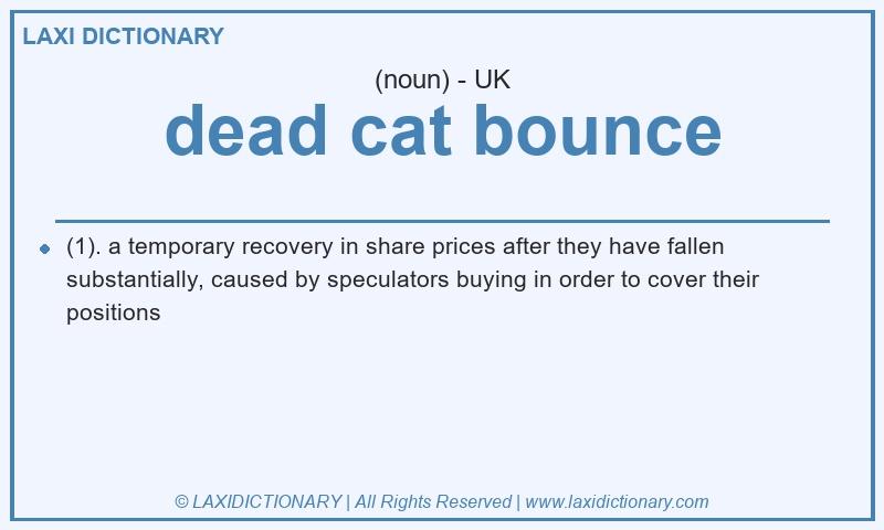 Definition dead cat bounce in British English