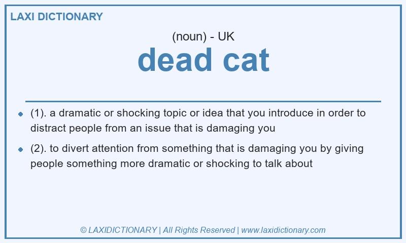 Definition dead cat in British English