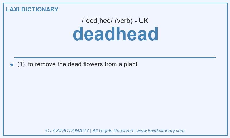 Definition deadhead in British English