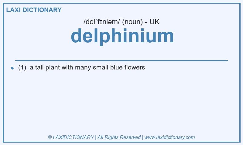 Definition delphinium in British English