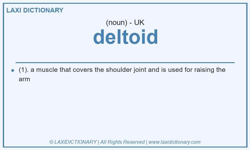 Definition deltoid in British English