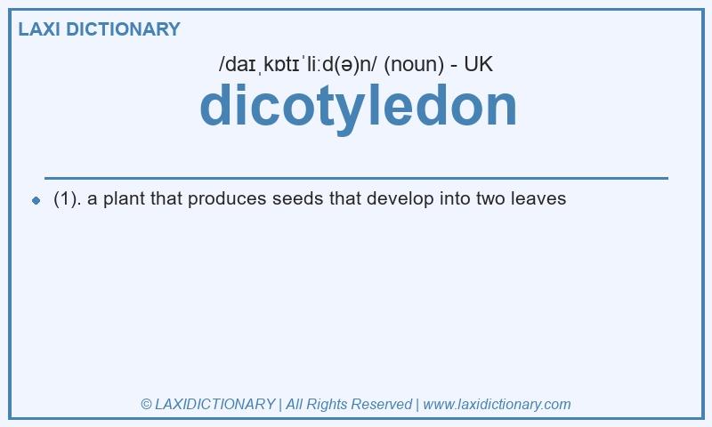 Definition dicotyledon in British English