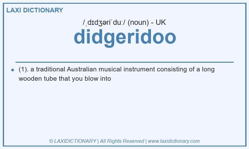 Definition didgeridoo in British English