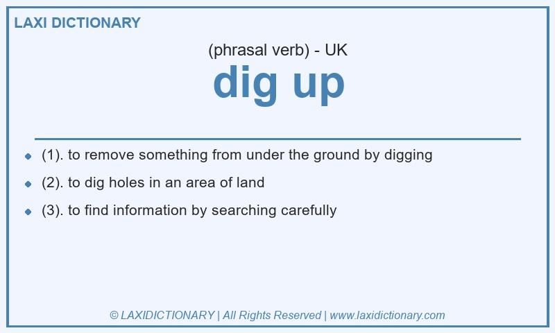 Definition dig up in British English