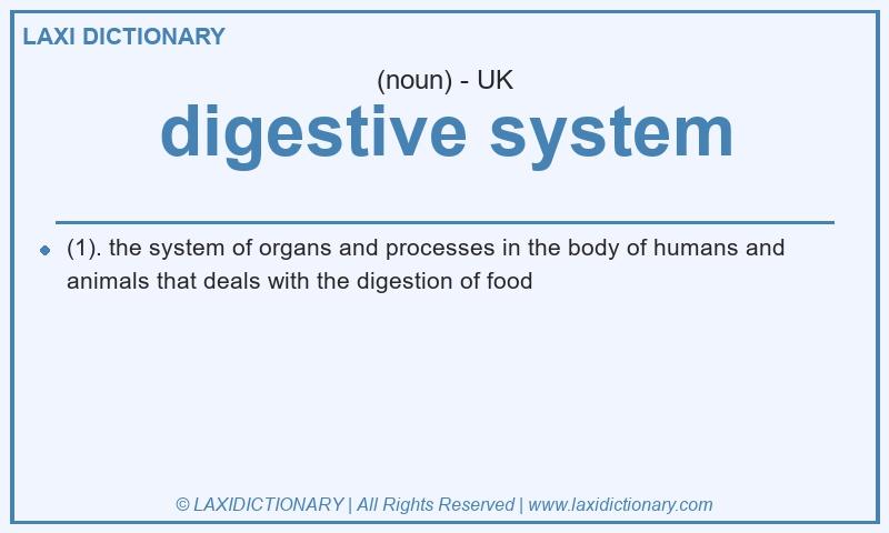 Definition digestive system in British English