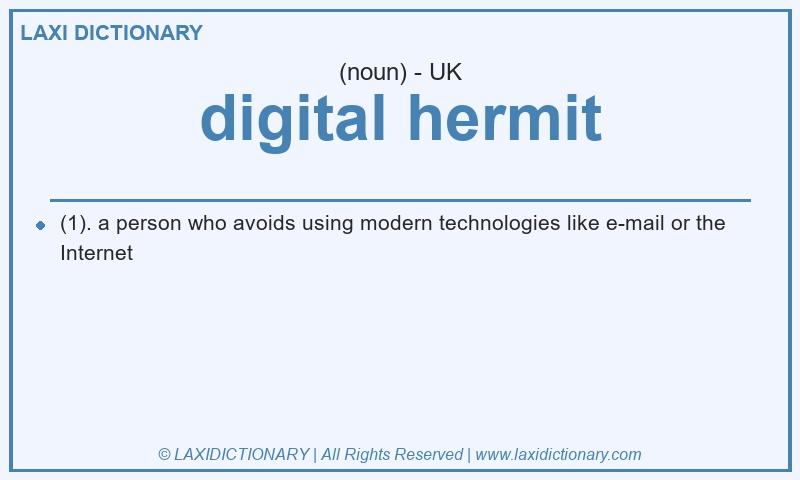 Definition digital hermit in British English