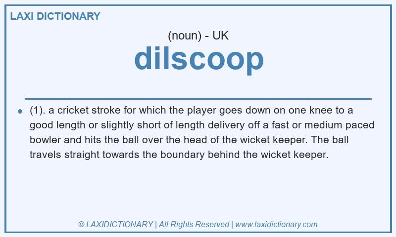 Definition dilscoop in British English