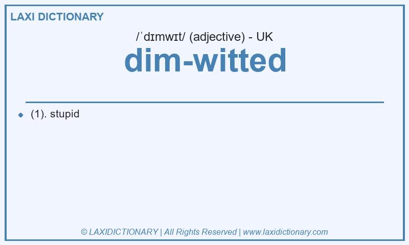 Definition dim-witted in British English