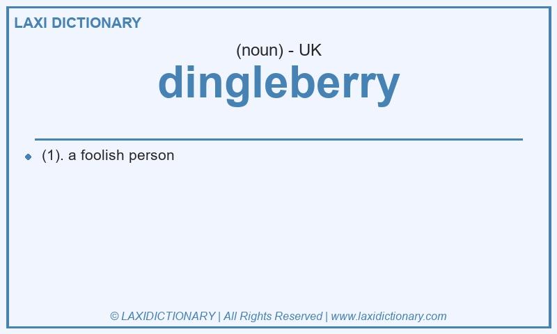 Definition dingleberry in British English