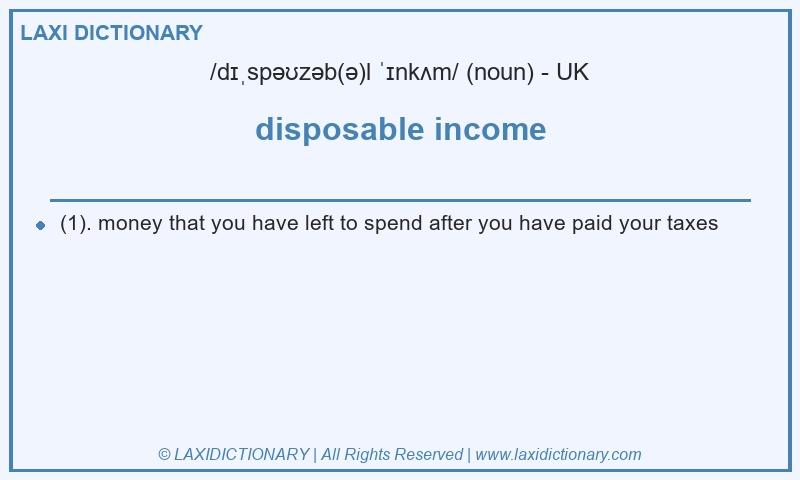 Definition disposable income in British English