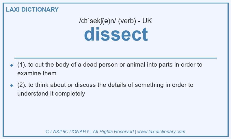 Definition dissect in British English