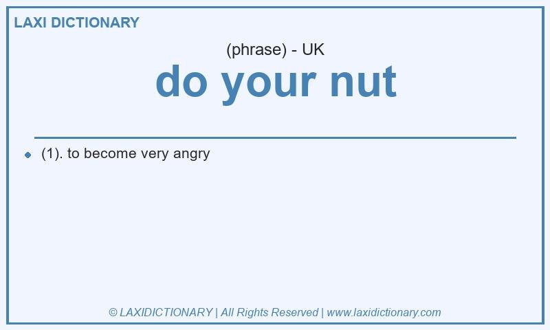 Definition do your nut in British English