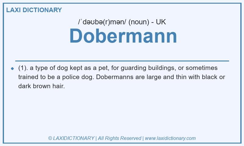 Definition Dobermann in British English