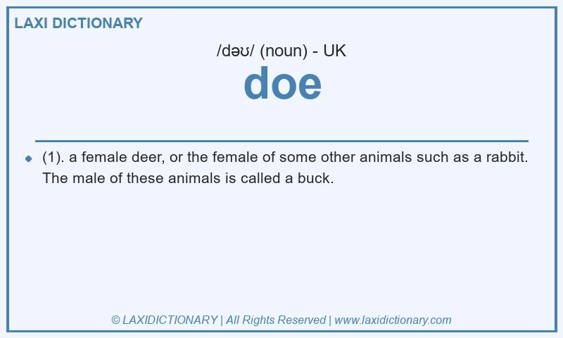 Definition doe in British English