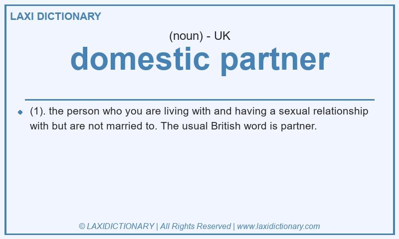 Definition domestic partner in British English