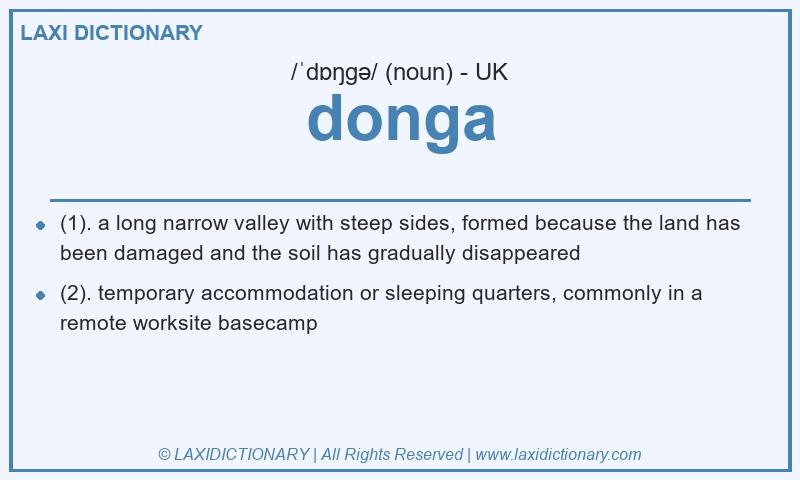 Definition donga in British English