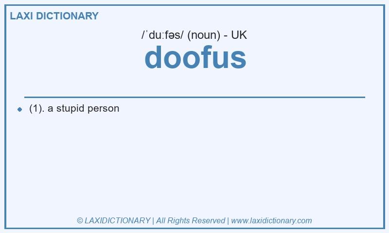 Definition doofus in British English