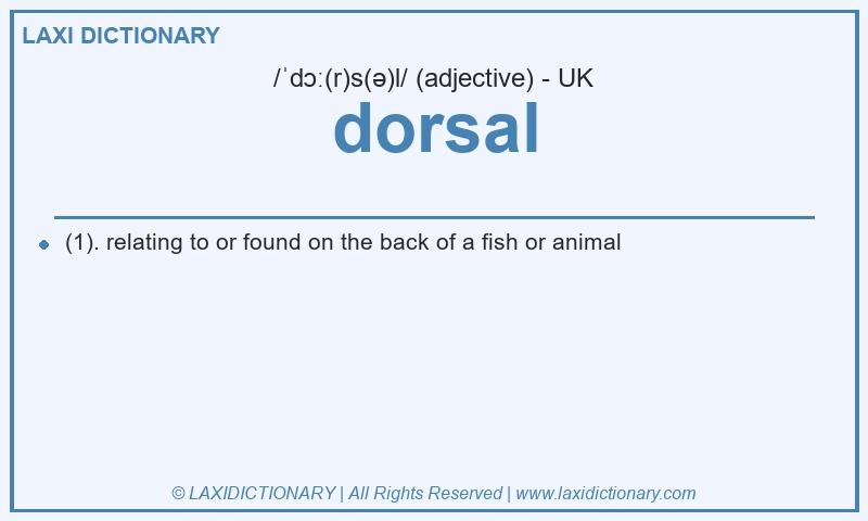 Definition dorsal in British English