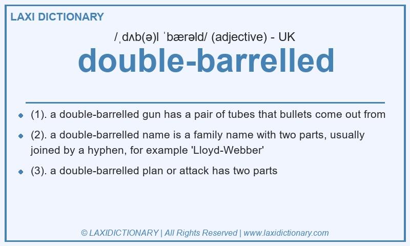 Definition double-barrelled in British English