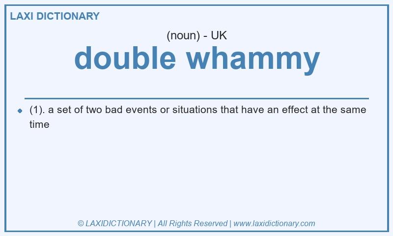 Definition double whammy in British English