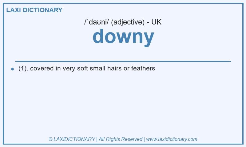 Definition downy in British English