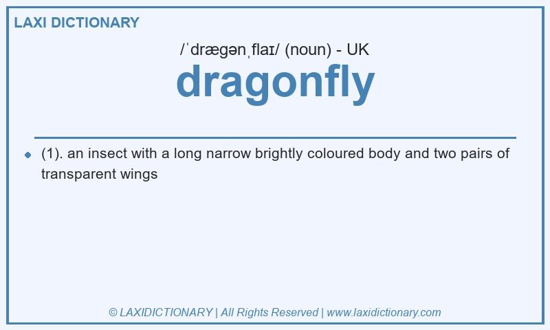 Definition dragonfly in British English