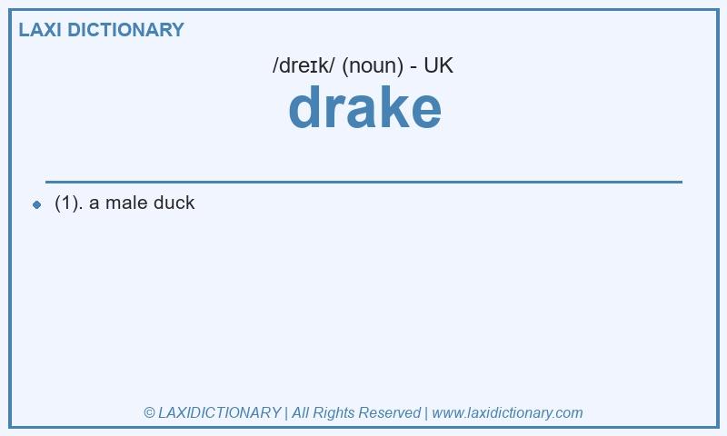 Definition drake in British English