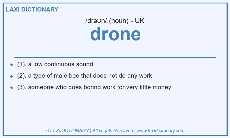Definition drone in British English