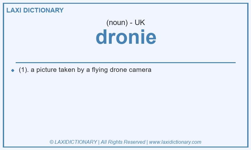 Definition dronie in British English