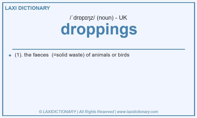 Definition droppings in British English
