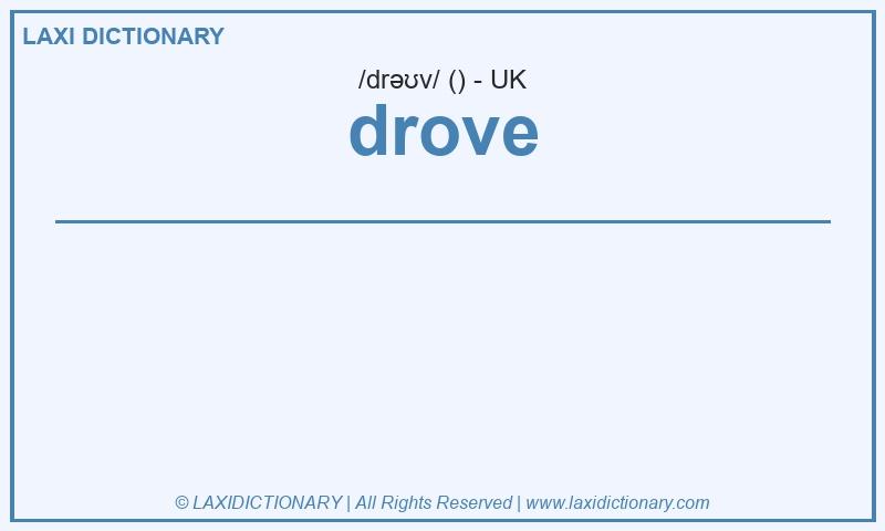 Definition drove in British English