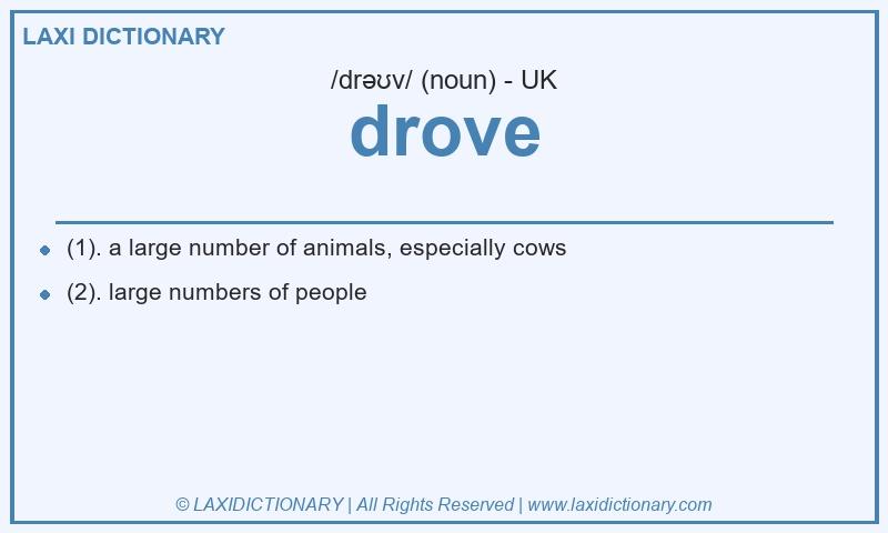 Definition drove in British English