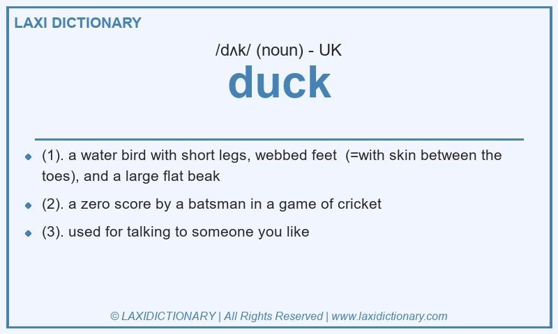 Definition duck in British English